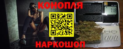крисы Ирбит