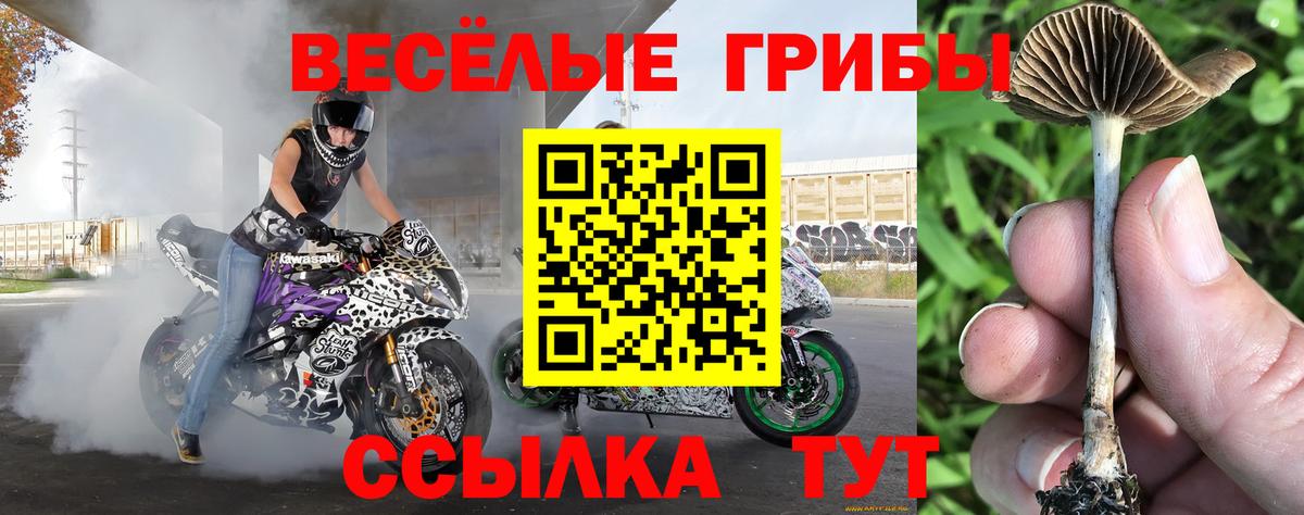 Псилоцибиновые грибы мицелий Воскресенск