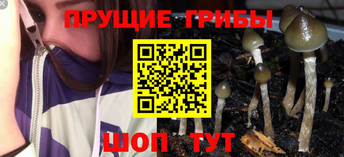 Галлюциногенные грибы Psilocybe  Вход с VPN  Воскресенск 